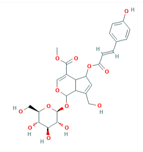 (E)-6-O-对香豆酰鸡屎藤次苷甲酯