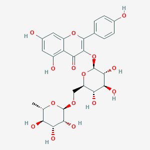 山奈酚-3-O-芸香糖苷