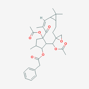 大戟因子L1