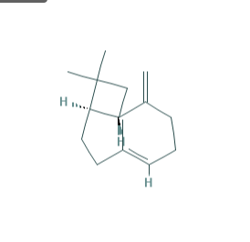β-丁香烯