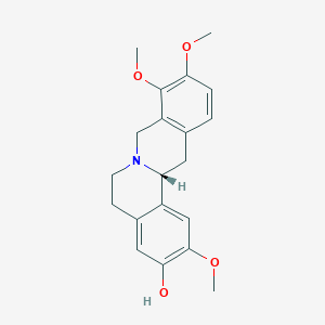 D-四氢药根碱