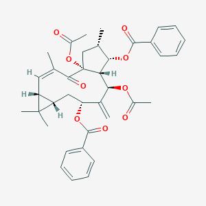 大戟因子L2