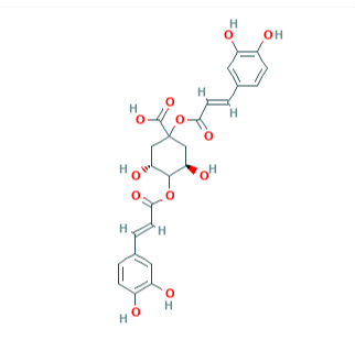 1,4-二咖啡酰奎宁酸