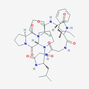 太子参环肽B