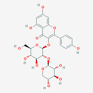 山奈酚3-O-桑布双糖苷