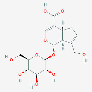 京尼平苷酸