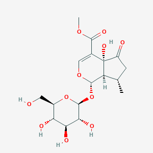 5-羟基马鞭草苷