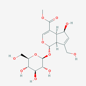 去乙酰基车叶草苷酸甲酯