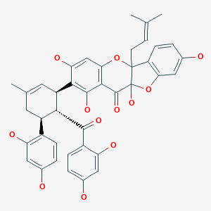 桑根酮D