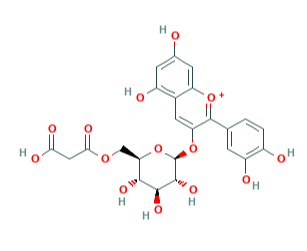 矢车菊素-3（6"-丙二酰）-葡萄糖苷