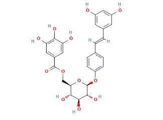 白藜芦醇-4'-O-β-D-(6''-O-没食子酰)葡萄糖苷